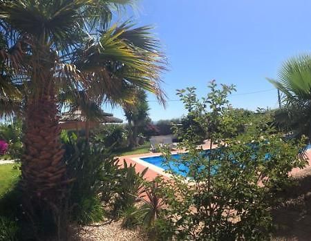 Quinta Das Amendoeiras B&B Nora  Ngoại thất bức ảnh