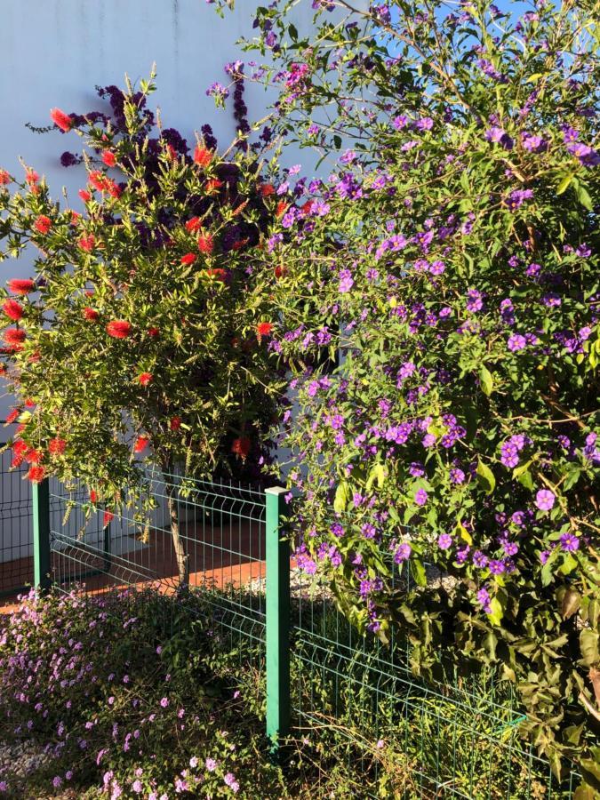 Quinta Das Amendoeiras B&B Nora  Ngoại thất bức ảnh