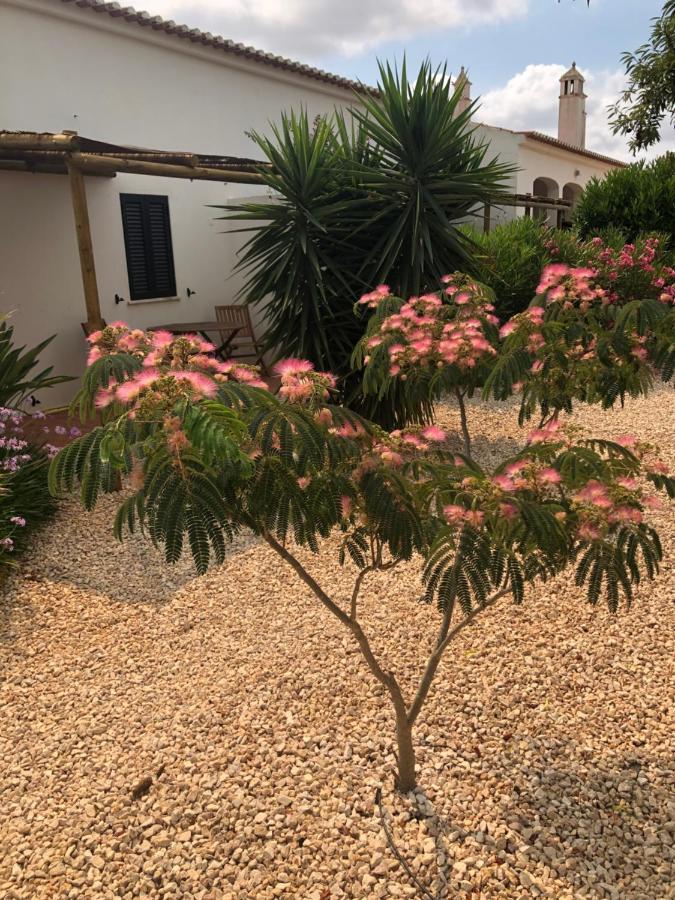 Quinta Das Amendoeiras B&B Nora  Ngoại thất bức ảnh