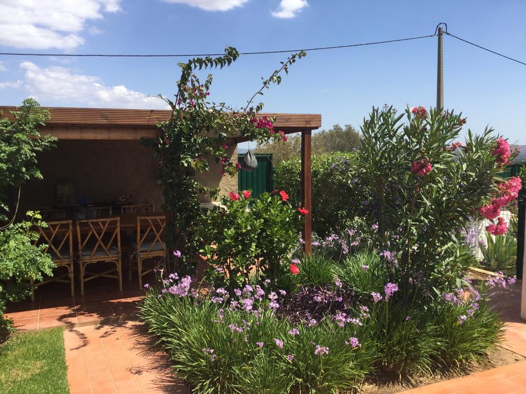 Quinta Das Amendoeiras B&B Nora  Ngoại thất bức ảnh